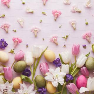 Cute spring PC wallpaper