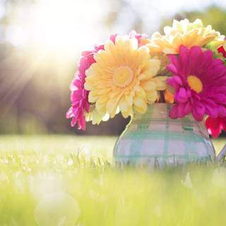 Cute spring PC wallpaper