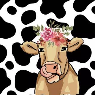 Cows cute wallpaper