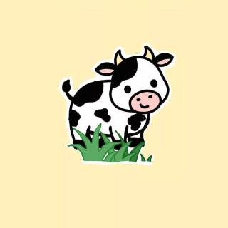 Cows cute wallpaper