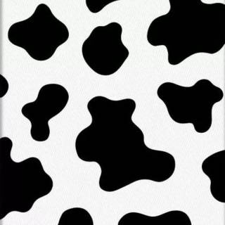 Cows cute wallpaper
