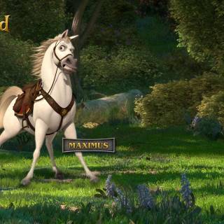 Disney horses wallpaper