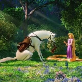 Disney horses wallpaper