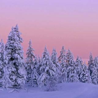 Girly winter desktop wallpaper