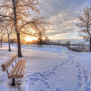 Winter snow Chromebook wallpaper