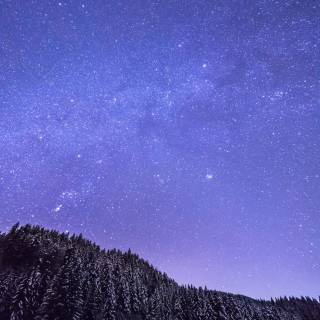 Winter 4k oled wallpaper