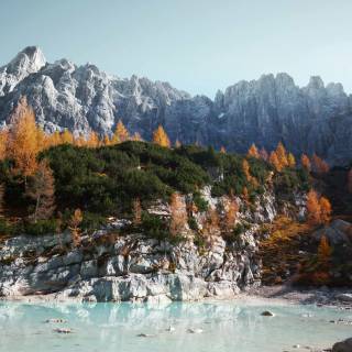 Winter 4k oled wallpaper