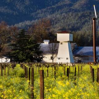 Napa spring wallpaper