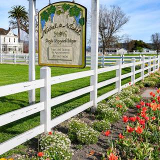 Napa spring wallpaper