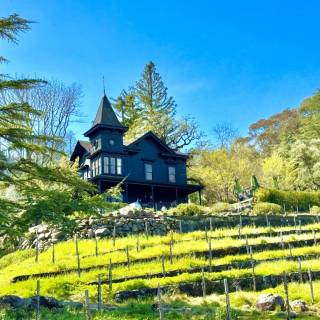 Napa spring wallpaper