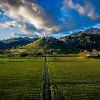 Napa spring wallpaper