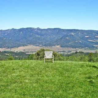 Napa spring wallpaper