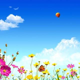 Spring blue purple yellow wallpaper