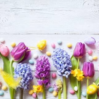 Spring blue purple yellow wallpaper