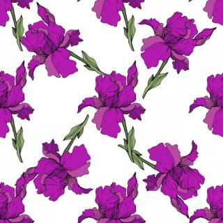 Spring blue purple yellow wallpaper