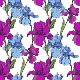 Spring blue purple yellow wallpaper