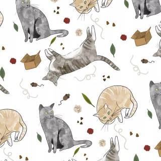 Spring cat iPhone wallpaper