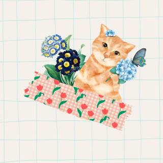 Spring cat iPhone wallpaper