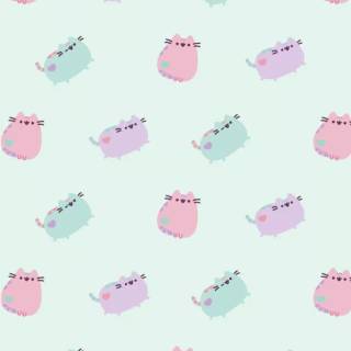 Spring cat iPhone wallpaper