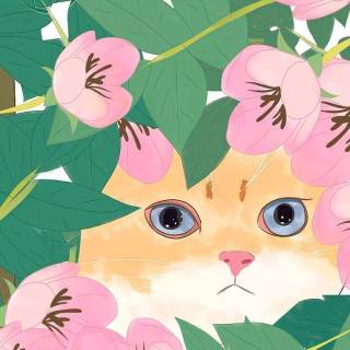 Spring cat iPhone wallpaper