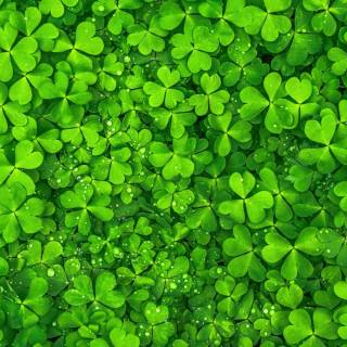 Green St. Patrick's Day wallpaper