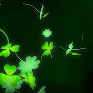 Green St. Patrick's Day wallpaper