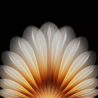 Oppo Find N5 wallpaper