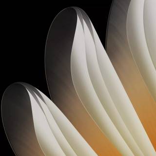 Oppo Find N5 wallpaper