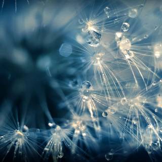 Asus ZenFone 12 Ultra wallpaper