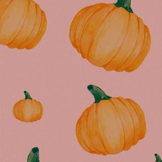 Autumn flowers pumpkins iPhone wallpaper