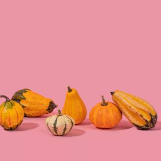 Pink pumpkins wallpaper