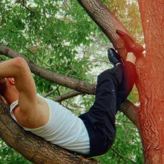 Nick Wilkins wallpaper