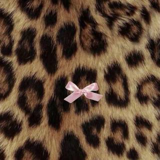 Cheetah print bows wallpaper