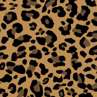 Hello Kitty cheetah print wallpaper
