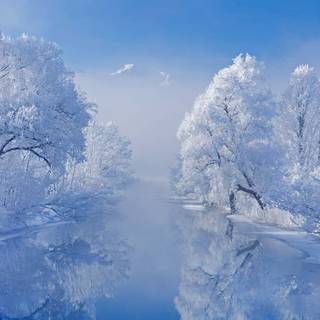 Winter feeling wallpaper