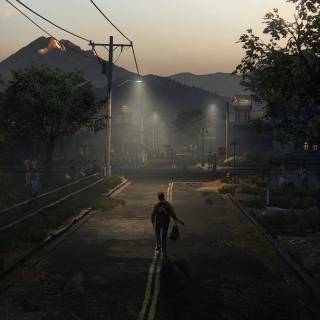 The Last of Us 2 computer wallpaper