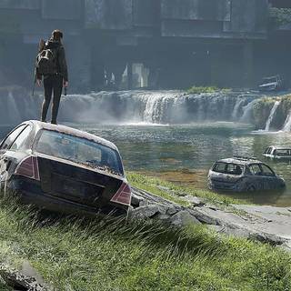 The Last of Us 2 computer wallpaper