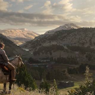 The Last of Us 2 computer wallpaper