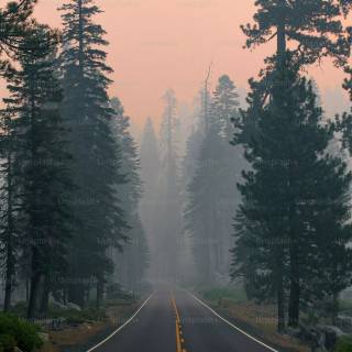 Cool phone wallpaper