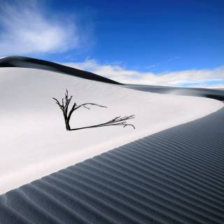 Blue desert wallpaper