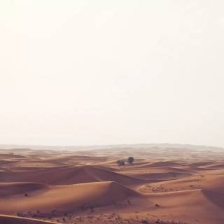 Desert desktop wallpaper