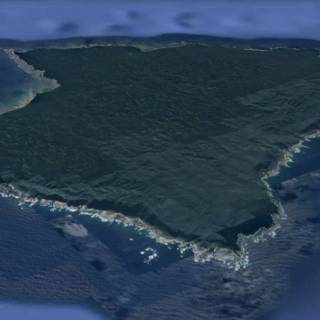 Floptropica wallpaper