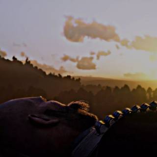 Arthur Morgan death wallpaper