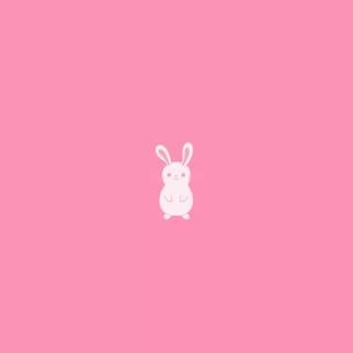 Bunny laptop wallpaper