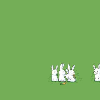 Bunny laptop wallpaper