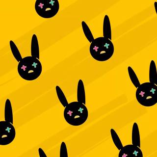 Bunny laptop wallpaper