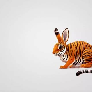 Bunny laptop wallpaper