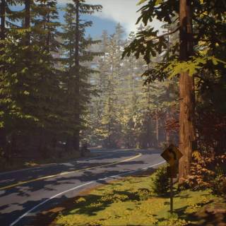 Life Is Strange PC wallpaper