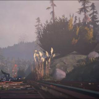 Life Is Strange PC wallpaper