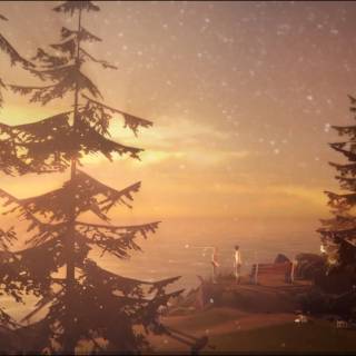 Life Is Strange PC wallpaper